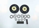 Repair Kit for EAD EVO10 Pump Head – Complete Set for 2 Heads | Original ELECTRO A.D., S.L. | Code 900.16