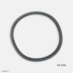 Tinget 12l Autoclave Chamber Gasket - Original Replacement Seal