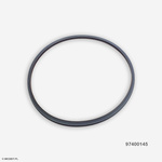 Chamber Gasket for Autoclave BRAVO G4 17/22, MILLENNIUM Classic, FUTURA, Stern Weber, Exacta S, Original CEFLA 97400145