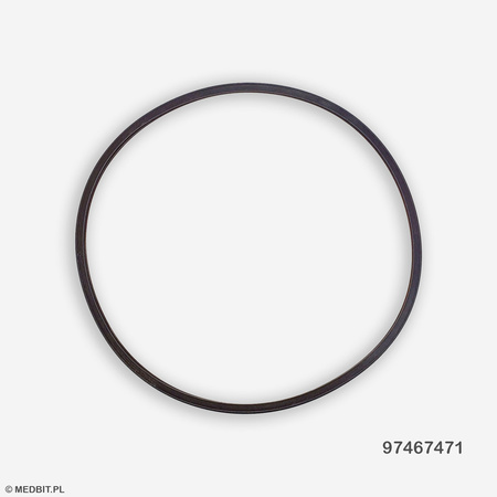 Joint de chambre d'autoclave BRAVO G4 28L / MILLENNIUM CLASSIC / FUTURA – Original CEFLA, code 97467471