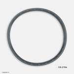 Guarnizione Camera Autoclave Tinget 18l/23l - Ricambio Originale