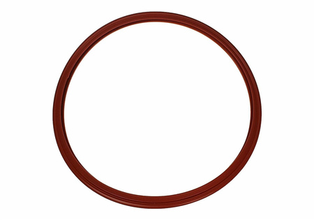 Tau Clave 3000 chamber gasket