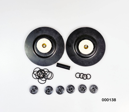 Kit de reparación para cabezal de bomba EVO30 Electro A.D.,S.L. código 900.46